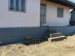 Valea Poienii Sat, oras Dolhasca, jud.Suceava