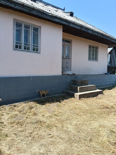 Valea Poienii Sat, oras Dolhasca, jud.Suceava