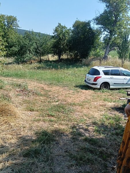Valea Poienii Sat, oras Dolhasca, jud.Suceava